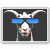 Geit met zonnebril Sticker (Voorkant)