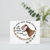 GEIT NUBIAN - LAAG HANGEN UW OREN? BRIEFKAART (Staand voorkant)