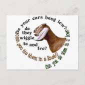 GEIT NUBIAN - LAAG HANGEN UW OREN? BRIEFKAART (Voorkant)