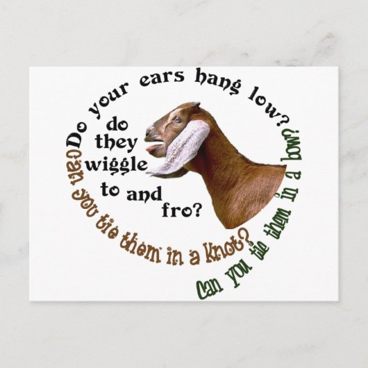 GEIT NUBIAN - LAAG HANGEN UW OREN? BRIEFKAART (Voorkant)