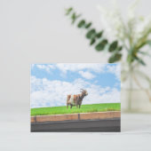 Geit op een grasdak in Sister Bay, Wisconsin Briefkaart (Staand voorkant)