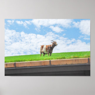Geit op een grasdak in Sister Bay, Wisconsin Poster