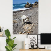 Geit op het strand poster (Thuiskantoor)