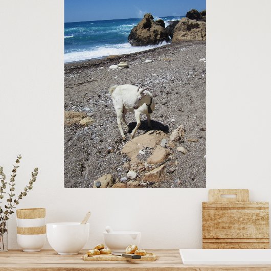 Geit op het strand poster (Keuken)