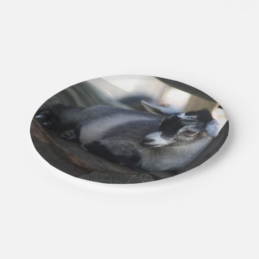 Geit Papieren Bordje (Gekanteld)