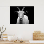 Geit Poster (Keuken)