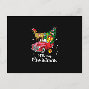 Geit Rijdt Rode Auto Kerstmis Feestdagenkaart