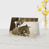 Geit staat op geduldig paard kaart (Gele Bloem)