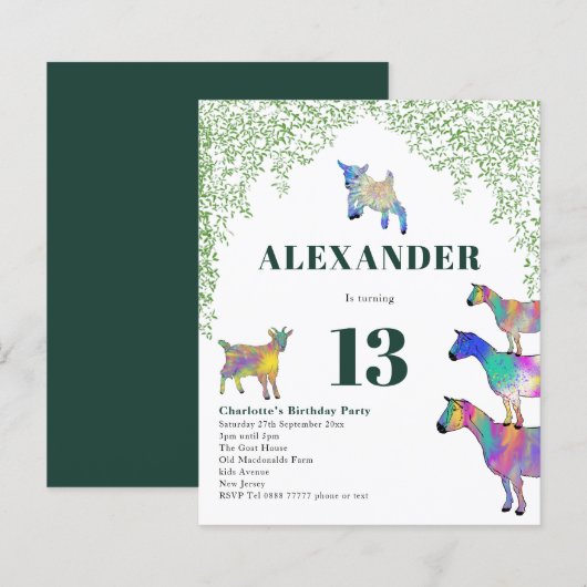 Geit Thema Verjaardagsfeest Groen (Voorkant / Achterkant)