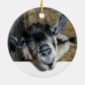 Geit uitkijken keramisch ornament (Achterkant)