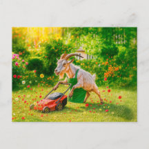 Geit vernietigt tuin met grasmaaier