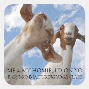 Geit Yoga Wijze Cracks Vierkante Sticker