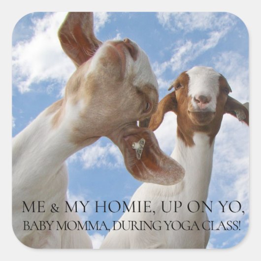 Geit Yoga Wijze Cracks Vierkante Sticker (Voorkant)