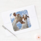 Geit Yoga Wijze Cracks Vierkante Sticker (Envelop)