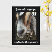 GEIT ZEGT: "GA NAAR BUITEN EN VIER **50ste** VERJA Kaart (Gele Bloem)