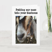 GEIT ZEGT GELUKKIGE VAKANTIE AAN JONG / JONG IN HA FEESTDAGEN KAART (Voorkant)