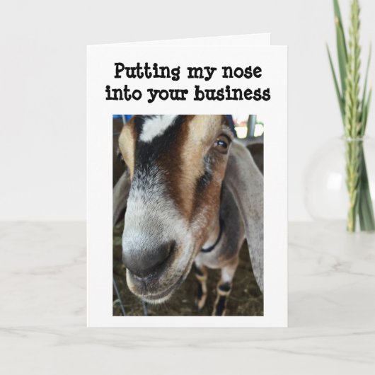 GEIT ZEGT GELUKKIGE VAKANTIE AAN JONG / JONG IN HA FEESTDAGEN KAART (Voorkant)