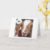 GEIT ZEGT "MAMA" "GEEN GRAPJE OVER GELUKKIGE VERJA KAART (Gele Bloem)