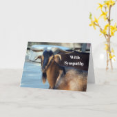 Geit Zwart Bruin Dier Foto Sympathie Kaart (Gele Bloem)