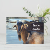 Geit Zwart Bruin Dier Foto Verjaardag Kaart (Staand voorkant)