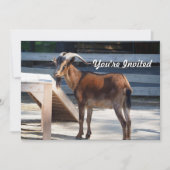 Geit Zwart Bruin Hoorns Dierenprofiel Verjaardag Kaart (Voorkant)