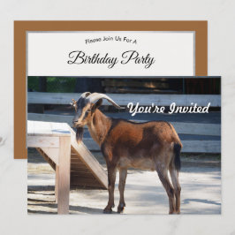 Geit Zwart Bruin Hoorns Dierenprofiel Verjaardag Kaart