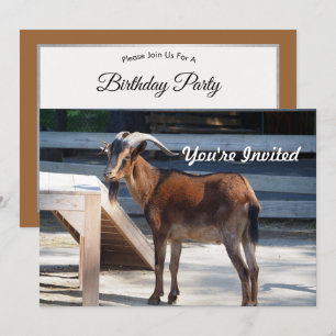 Geit Zwart Bruin Hoorns Dierenprofiel Verjaardag Kaart