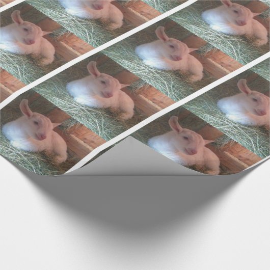 Geitafraappapier Cadeaupapier (Hoek)