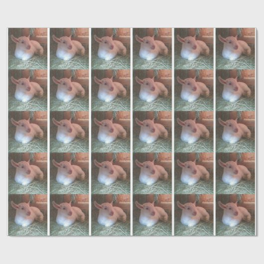 Geitafraappapier Cadeaupapier (Vlak)