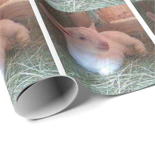 Geitafraappapier Cadeaupapier (Rol Hoek)