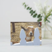 Geitbegroeten Briefkaart (Staand voorkant)