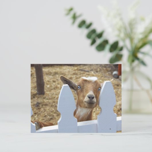 Geitbegroeten Briefkaart (Staand voorkant)