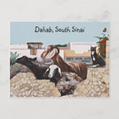 Geitbegroeten III Briefkaart (Voorkant)