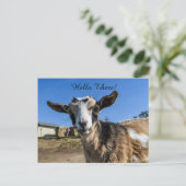 Geitbegroeting Briefkaart (Staand voorkant)