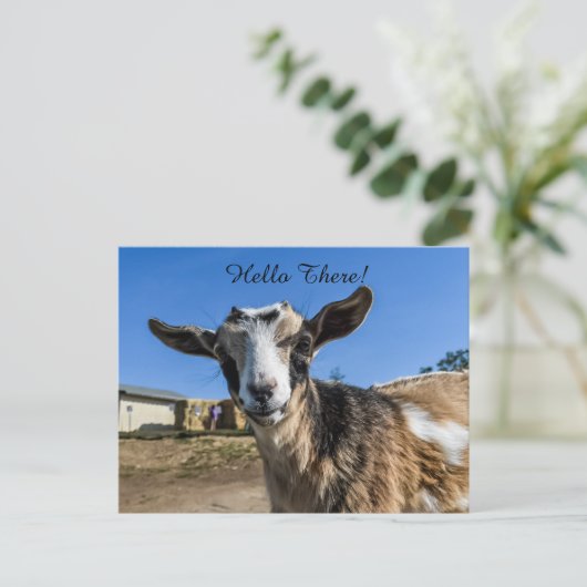 Geitbegroeting Briefkaart (Staand voorkant)