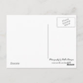 Geitebok Briefkaart (Achterkant)