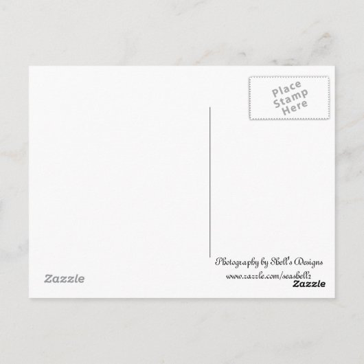 Geitebok Briefkaart (Achterkant)