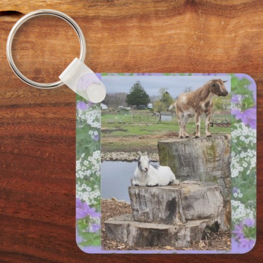 Geiten 2 sleutelhanger (Voorkant)