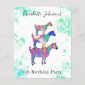 Geiten 6th Birthday Party Budget Flyer (Achterkant)