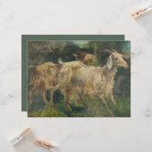 Geiten (door Vincenzo Caprile) Kaart (Voorkant / Achterkant in situ)