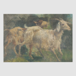 Geiten (door Vincenzo Caprile) Tissuepapier