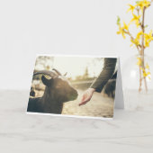 Geiten en geiten (21) kaart (Gele Bloem)