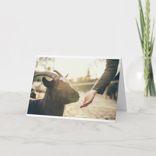 Geiten en geiten (21) kaart (Voorkant)