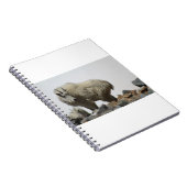 Geiten en geiten (68) notitieboek (Rechterzijde)