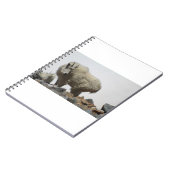 Geiten en geiten (68) notitieboek (Linkerzijde)