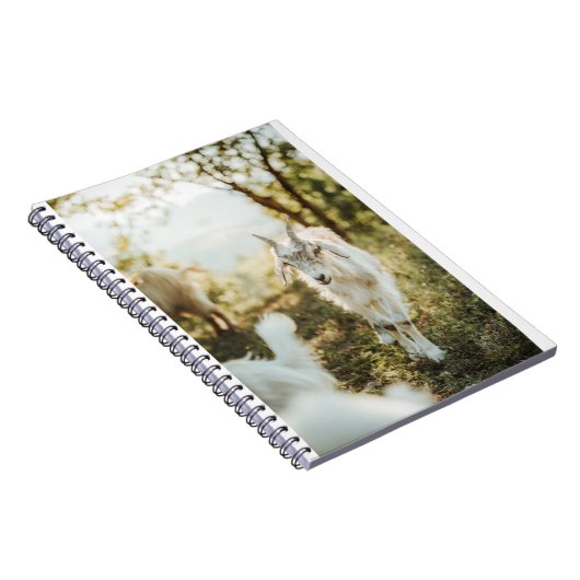 Geiten en geiten (85) notitieboek (Rechterzijde)