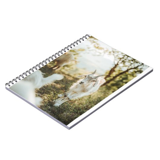 Geiten en geiten (85) notitieboek (Linkerzijde)