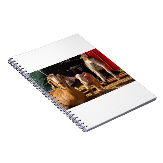 Geiten en geiten (91) notitieboek (Rechterzijde)