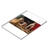 Geiten en geiten (91) notitieboek (Linkerzijde)