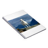 Geiten en geiten (93) notitieboek (Rechterzijde)